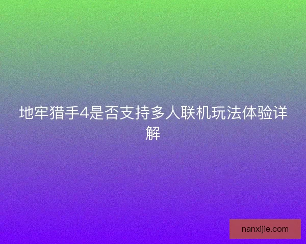 地牢猎手4是否支持多人联机玩法体验详解