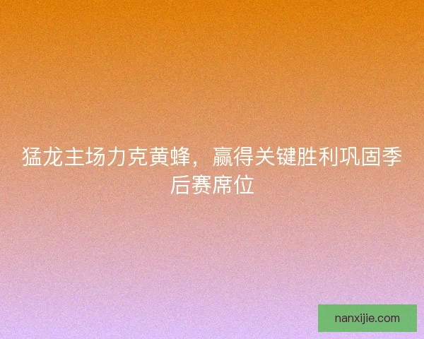 猛龙主场力克黄蜂，赢得关键胜利巩固季后赛席位