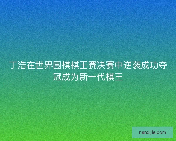 丁浩在世界围棋棋王赛决赛中逆袭成功夺冠成为新一代棋王